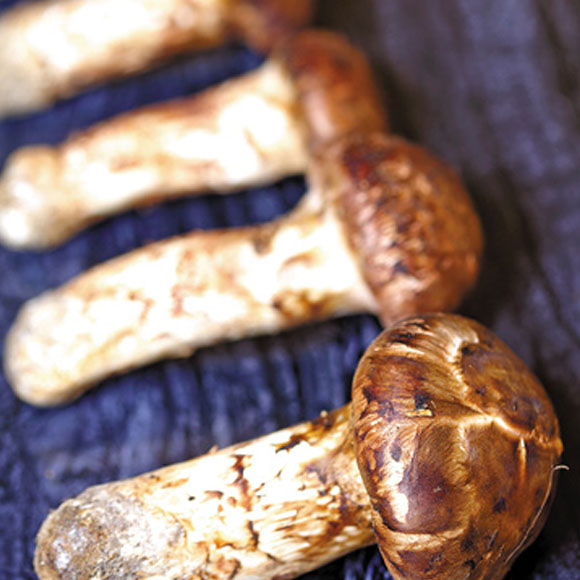 香格里拉野生松茸(5-7cm) 光明服务菜管家商品 