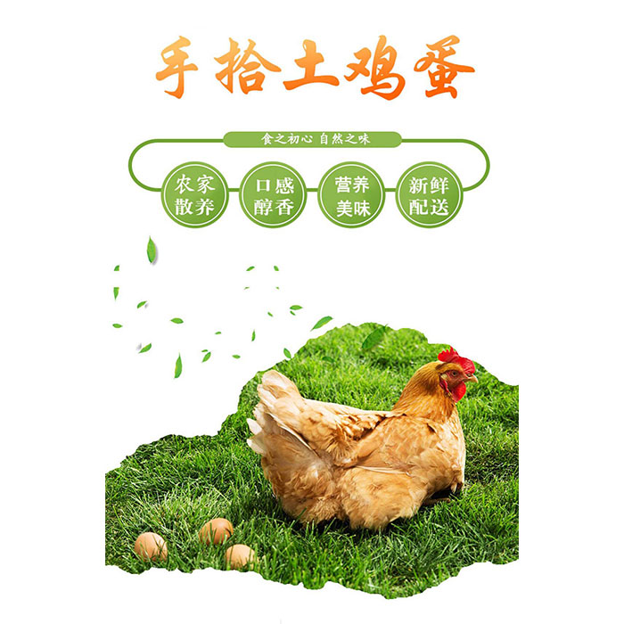 上海农场林下散养草鸡蛋（60枚） 光明服务菜管家商品 