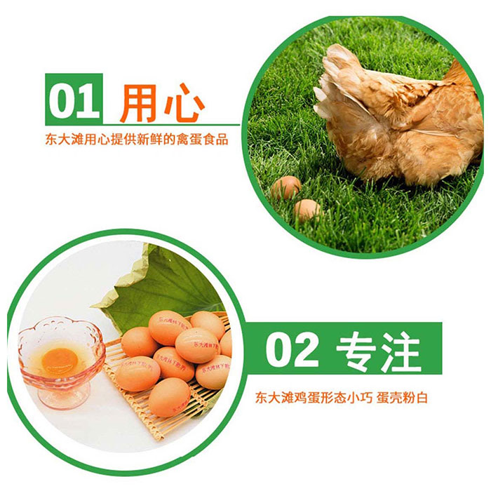 上海农场林下散养草鸡蛋（60枚） 光明服务菜管家商品 