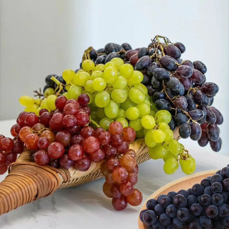 新疆四色葡萄（禮盒裝，每個品種氣泡袋獨立包裝）