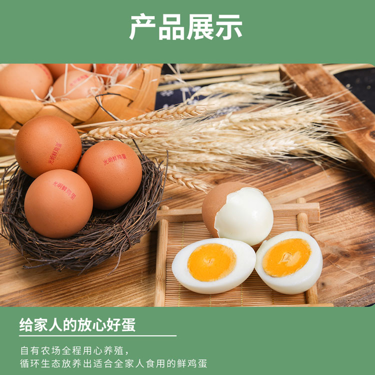 上海农场鲜鸡蛋 光明服务菜管家商品 
