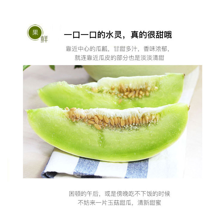 南汇玉菇甜瓜（5斤装） 光明服务菜管家商品 