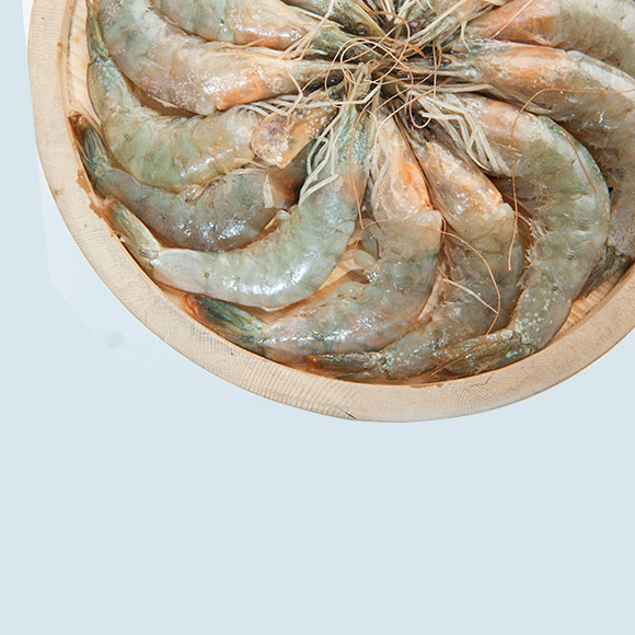 厄瓜多尔白虾 光明服务菜管家商品 