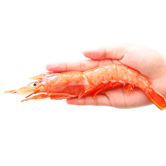 阿根廷红虾（特大号） 光明服务菜管家商品 
