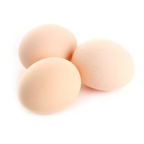 鸿轩农业土鸡蛋10枚 光明服务菜管家商品 