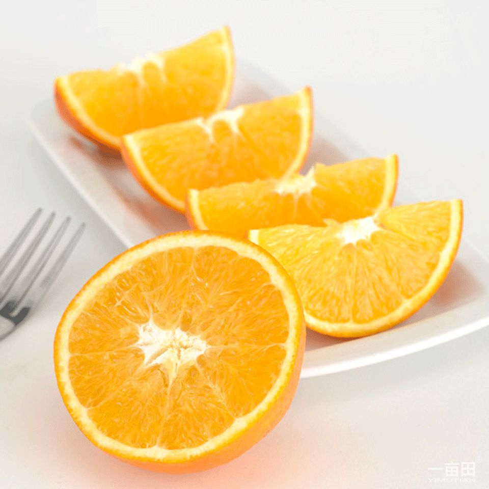 澳洲脐橙 6只装 光明服务菜管家商品 