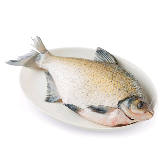 太湖野捕鳊鱼 光明服务菜管家商品 