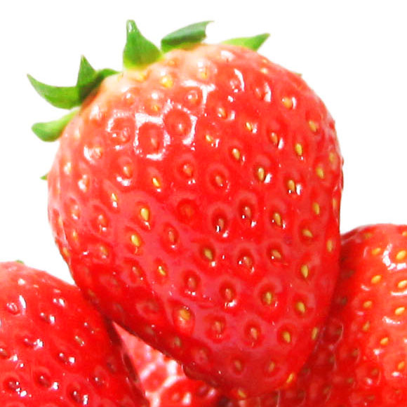 喆畋二号草莓 光明服务菜管家商品 