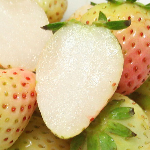 菠萝莓（白美莓） 光明服务菜管家商品 