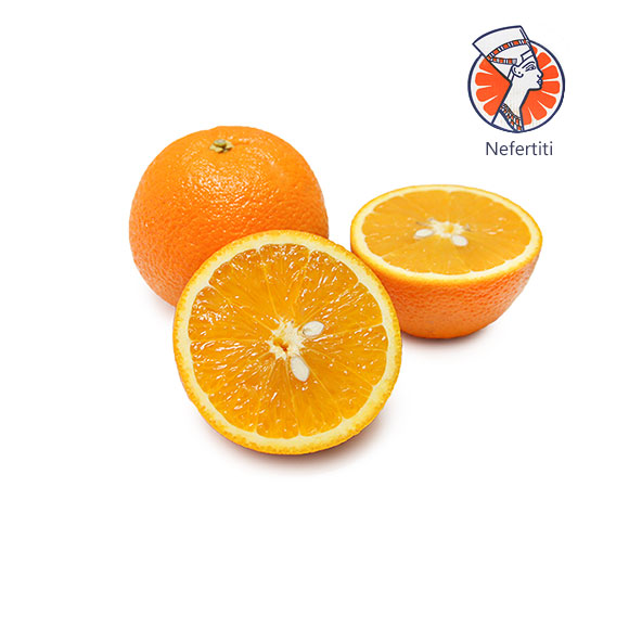 埃及美人橙（6只装） 光明服务菜管家商品 