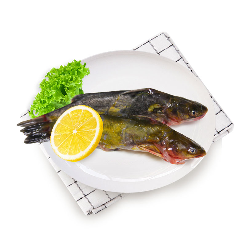 光明渔业昂刺(冰鲜)+鳊鱼(冰鲜) 光明服务菜管家商品 