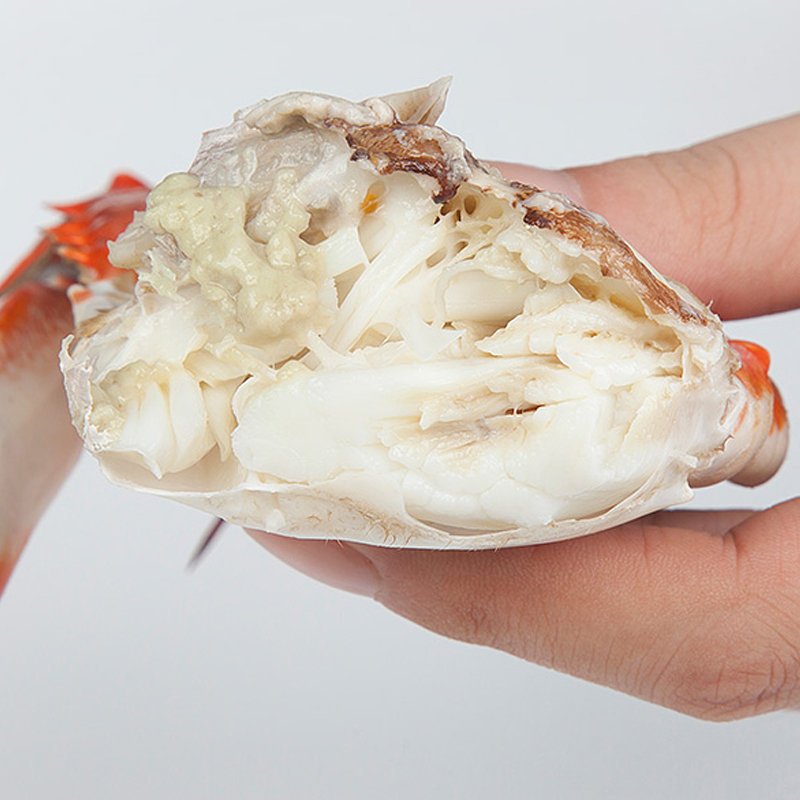 舟山海捕冰鲜一级梭子蟹（3-5两/只） 光明服务菜管家商品 