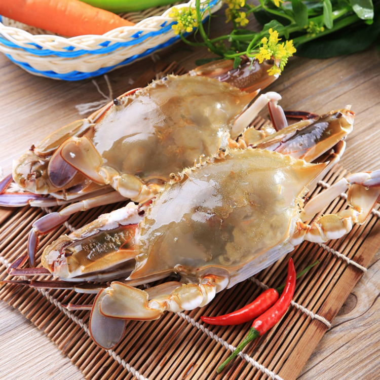 舟山海捕冰鲜一级梭子蟹（3-5两/只） 光明服务菜管家商品 