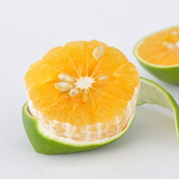 海南绿橙（管家装） 光明服务菜管家商品 