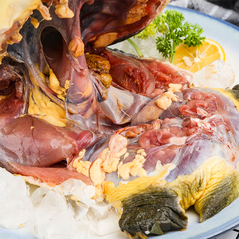 光明渔业冰鲜甲鱼（3年） 光明服务菜管家商品 