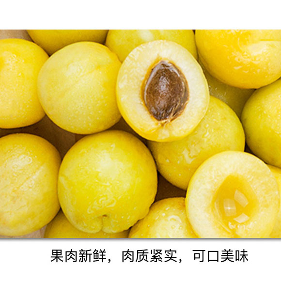 新疆小白杏1.5kg 光明服务菜管家商品 