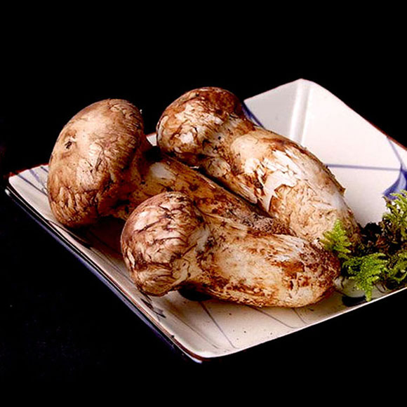 香格里拉新鲜松茸（7-9cm） 光明服务菜管家商品 