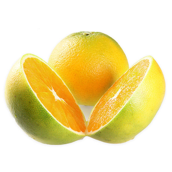 云南冰糖橙（管家装） 光明服务菜管家商品 
