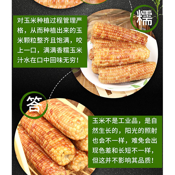 大瀛紫糯玉米（2kg） 光明服务菜管家商品 