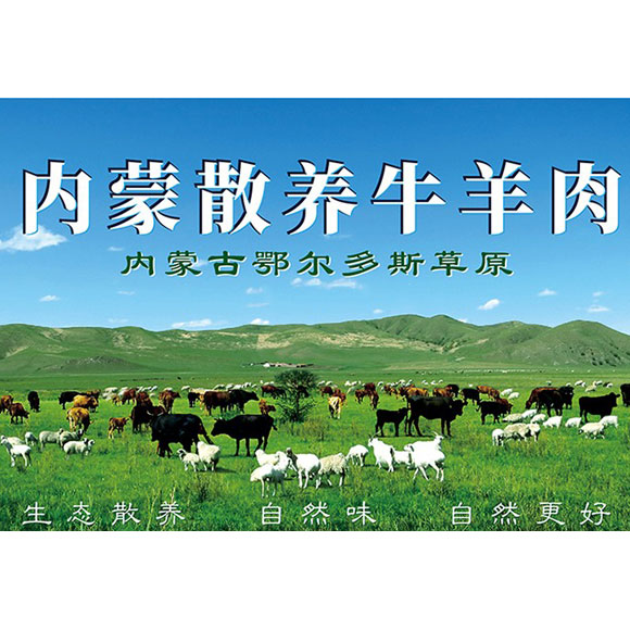 亿道-内蒙古散养牛羊肉598型套餐 光明服务菜管家商品 