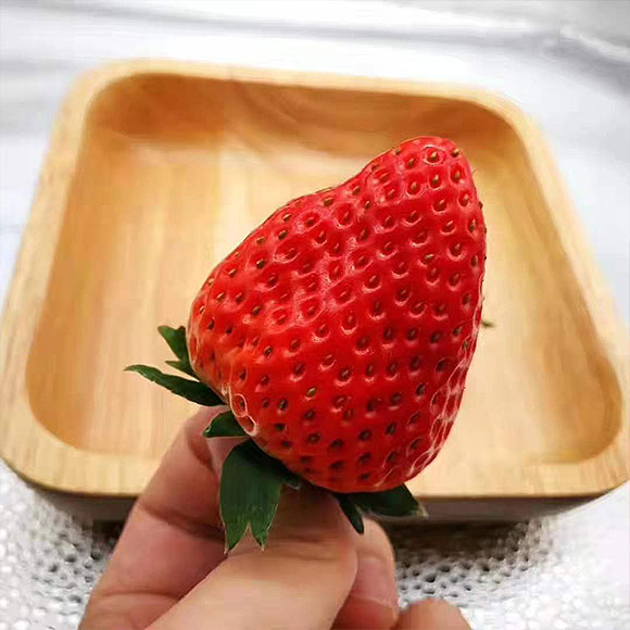 丹东红颜草莓B套（30g/粒） 光明服务菜管家商品 
