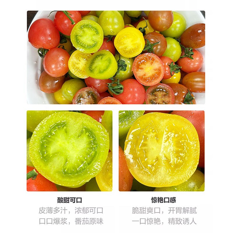 五四农场本地彩色水果小番茄 菜管家商品