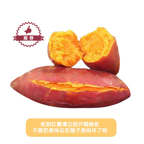 山东济南红薯